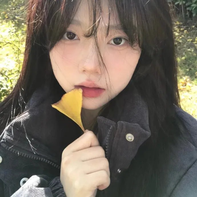 灵数23