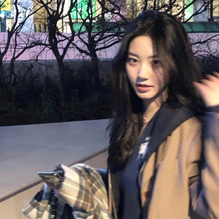 折翼鸟